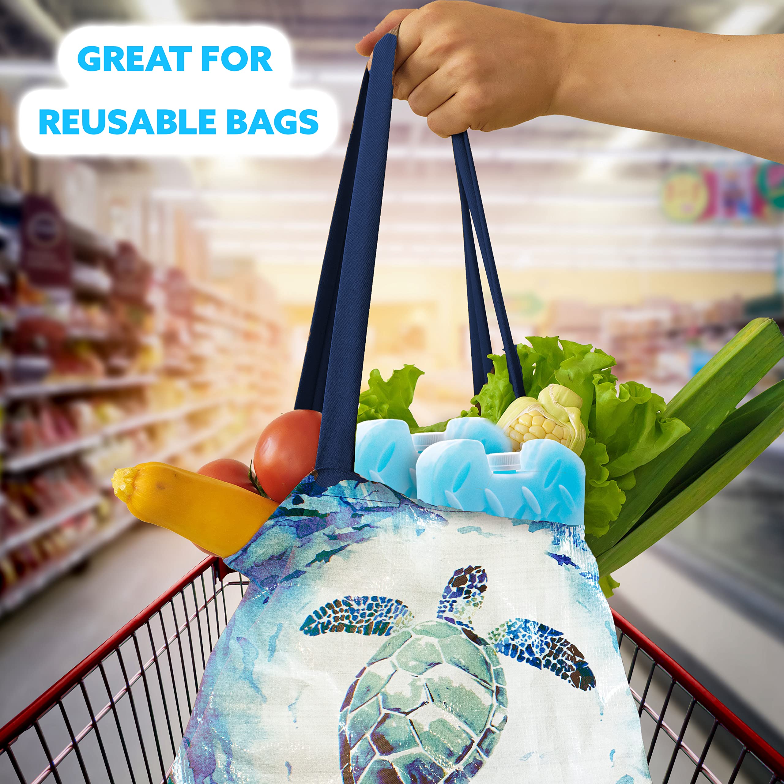 Kona (Set of 4) XL Slim + Blue Ice Packs - XL Slim, Turquoise Ice Packs & (2 lb) Small Blue Ice Packs - Refreezable & Reusable for Coolers - Perfect for The Beach, Camping Trips, and Sports Events - Image 7